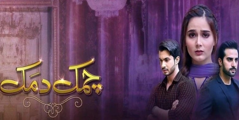Tahmina Javed career