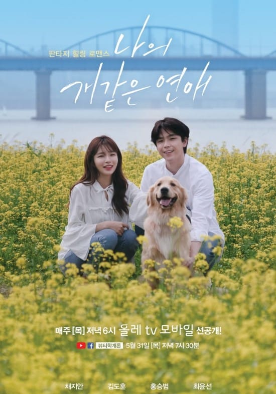 Jian Chae career