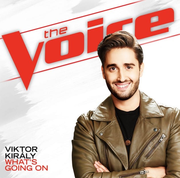 Viktor Király bio