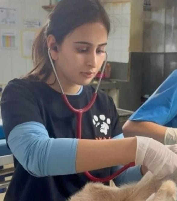 Saaniya Chandok working at Mr. Paws Pet Spa and Store LLP in Mumbai